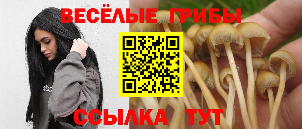 Галлюциногенные грибы Magic Shrooms  Вход с VPN  Красноармейск 